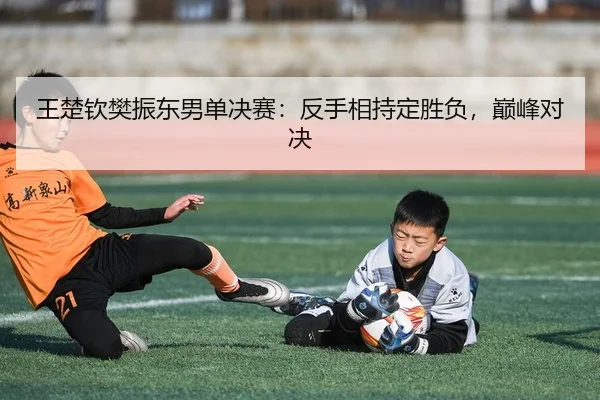 王楚钦樊振东男单决赛：反手相持定胜负，巅峰对决