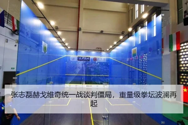 张志磊赫戈维奇统一战谈判僵局，重量级拳坛波澜再起